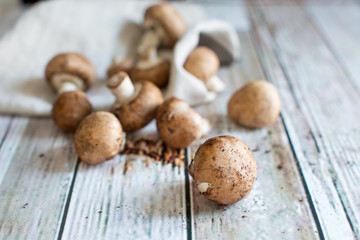Mushrooms on wooden vintage surface