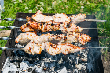 Cooking juicy and delicious pork, beef and chicken in the grill during summer vacation