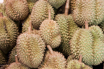 Fototapeta premium Durian fruits on shelf in the supermarket, king of Thailand fruits.
