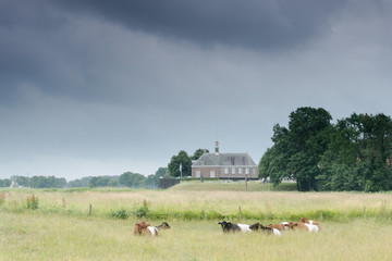 Little church in dutch landscape