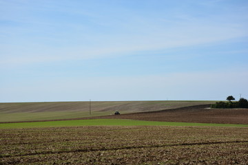 Tracteur pendant la moisson