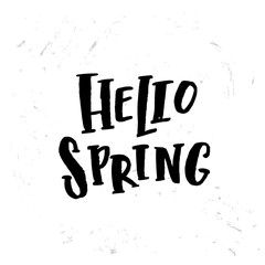 Vector trendy hand lettering poster. Hand drawn calligraphy "hello spring" 