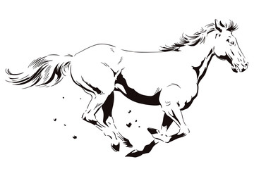 A galloping horse. Stock illustration.