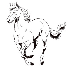 A galloping horse. Stock illustration.