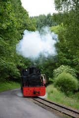 Train touristique d'Abreshviller