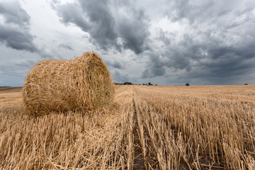 Hay bales under a dramatic stormy sky on a harvested wheat field.