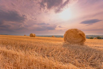 Summer landscape. Hay bales under a cloudy sunset sky on a harvested wheat field.