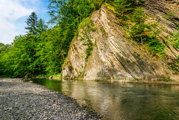 calm forest river under rocky cliff