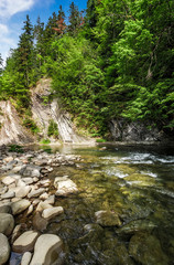 Fototapeta na wymiar rapid flow of the river in forest
