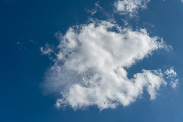   blue sky and white cloud.