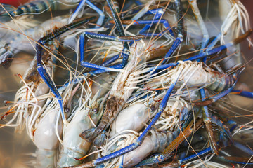 Shrimp is sold in the Thai seafood market.