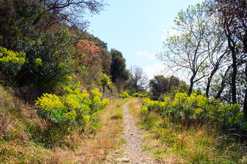 View of countryside road