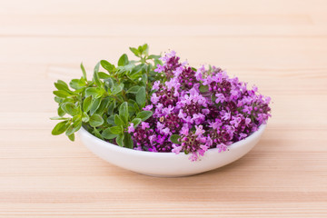 fresh, flowering quendel / Porcelain bowl with flowering wild thyme