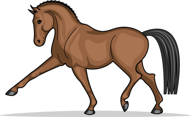 Sketch a trotting horse.