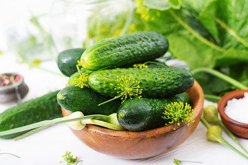 Preparation pickled marinated cucumbers, herbs and salt.