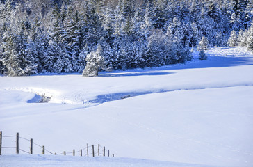 Natur im weißen Winterkleid