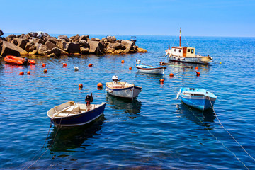Colorful boats in Riomaggiore