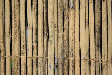 Fototapeta premium textured background from bamboo sticks