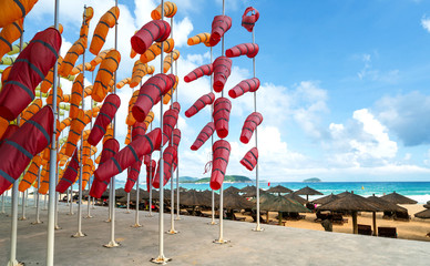 The sea colored sails