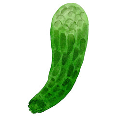 Wildflower carnegiea flower in a watercolor style isolated. Full name of the plant: carnegiea. Aquarelle wild flower for background, texture, wrapper pattern, frame or border.