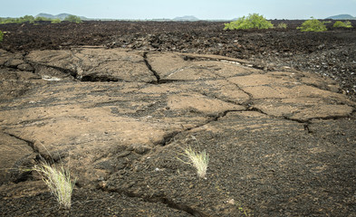 Cracked black lava in Tsavo West Reserve in Kenya