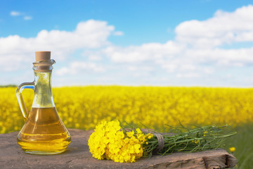 rapeseed oil (canola) on background field and sky - obrazy, fototapety, plakaty