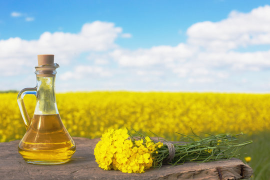 rapeseed oil (canola) on background field and sky
