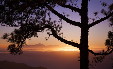 Fototapeta na wymiar sunset over Teide
