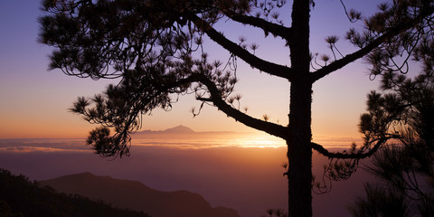 Fototapeta na wymiar sunset over Teide