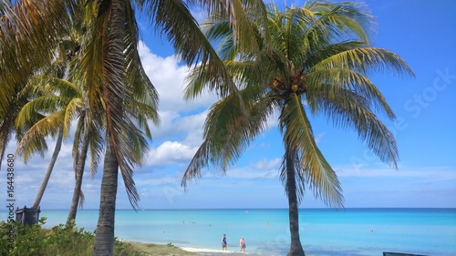 Plage Palmier Stock Photo And Royalty Free Images On