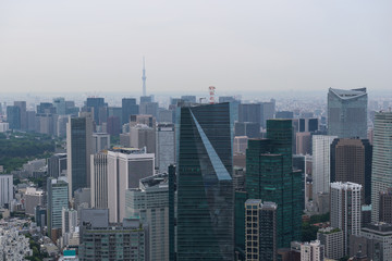 Fototapeta na wymiar Aerial view of the Skyline of Tokyo, Japan