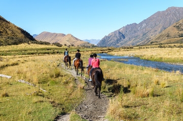Fototapeta na wymiar Horse trekking group