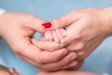 Parent hands holding baby's hand