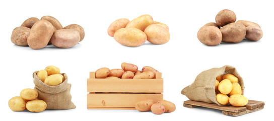 Collage of raw potatoes on white background