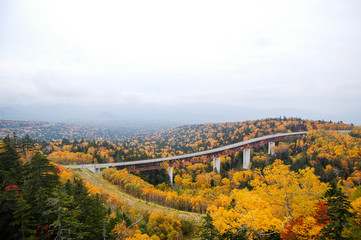 北海道・秋の三国峠