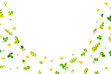 Frame from green leaves and flower on white background for isolated, Frame by the leaf and flower, Free space by green leaves and flower on white background for cut off