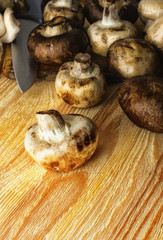 Fresh forest mushrooms on the table