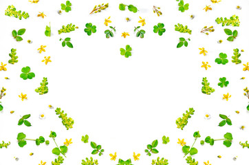 Fototapeta premium Frame from green leaves and flower on white background for isolated, Frame by the leaf and flower, Free space by green leaves and flower on white background for cut off