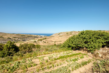 Blick nach Xlendi (Gozo)