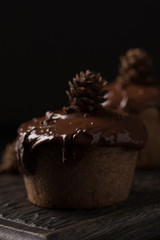 Chocolate muffins, decorated with a small cone on a dark wooden background. Cupcakes are poured with dark chocolate and cocoa powder. Cupcakes with unusual decoration. Low key