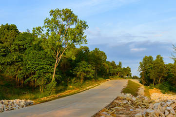 Naklejka premium Tropical landscape with empty road and green roadside