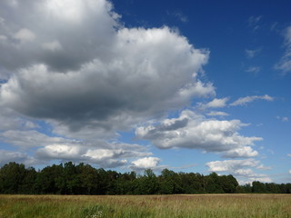 chmury nad łąką leśną