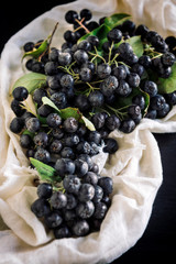 Fresh picked aronia
