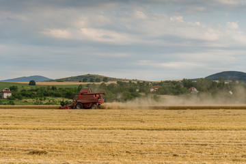 Combine harvesting the field of wheat on a sunset