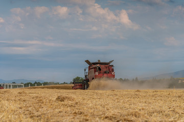 Fototapeta na wymiar Combine harvesting the field of wheat on a sunset