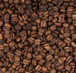 closeup background out coffee beans