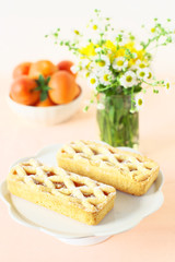 Rustic mini apricot tart on a summer table