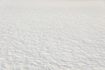 background of snow in nature