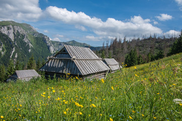 Tatry 201706024