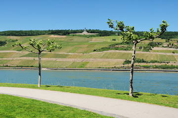 Fototapete bei efototapeten.de bestellen   